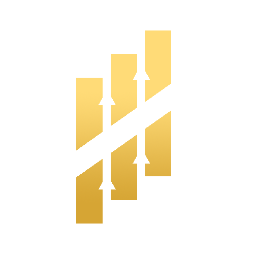 Logo DSF Conseil